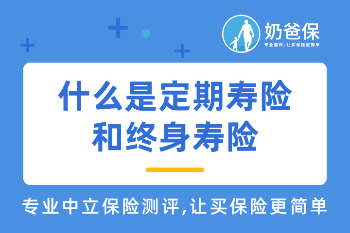 什么是定期寿险和终身寿险 有什么区别 奶爸保