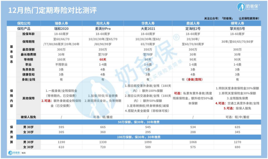 热门定期寿险哪个好