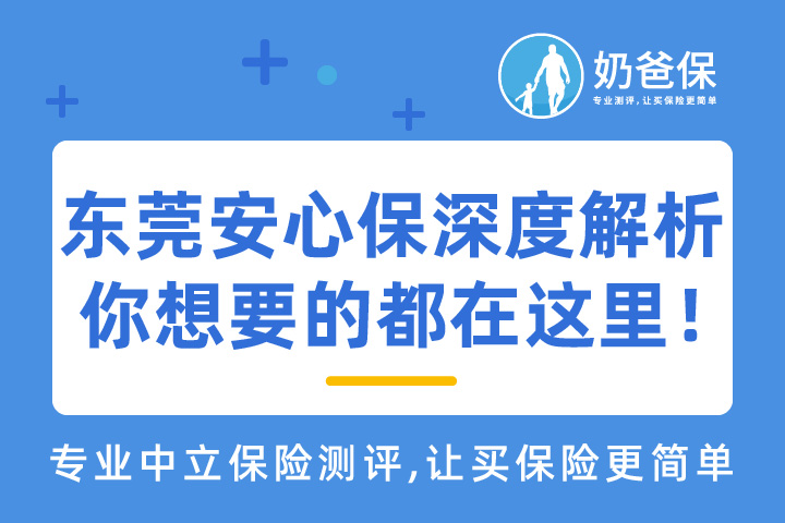 东莞安心保有哪些保障？深度解析在这里！