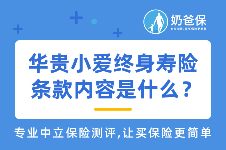 投保华贵小爱终身寿险要注意些什么？条款内容是什么？