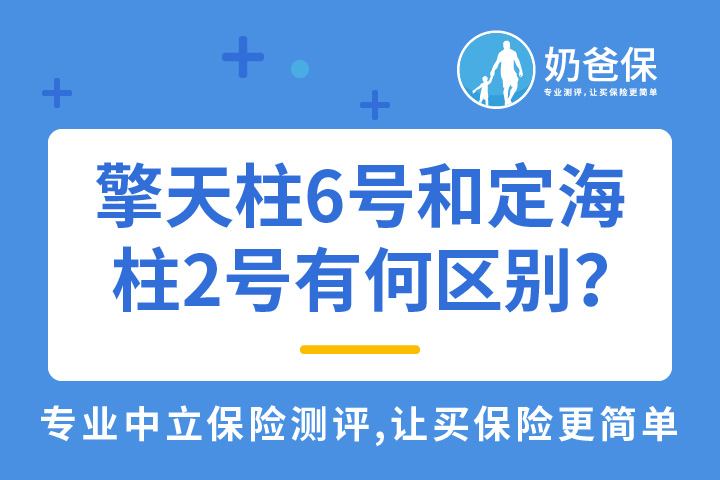 阳光擎天柱6号和鼎诚定海柱2号有何区别？