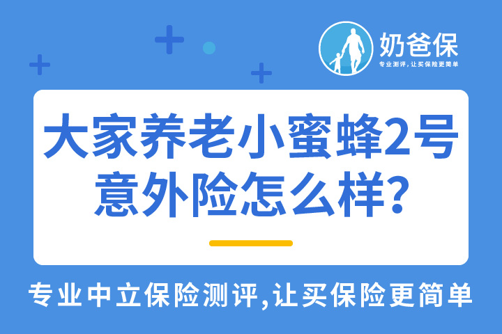 大家养老小蜜蜂2号意外险怎么样？一年要多少钱？