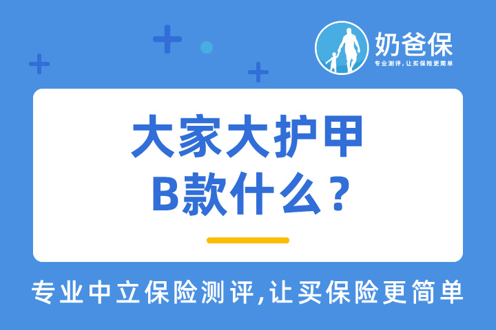大家大护甲成人意外险B款保障什么？交通意外保障好吗？