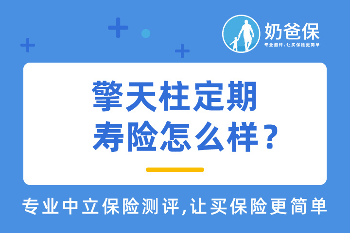擎天柱定期寿险怎么样？有哪些热门定期寿险推荐？