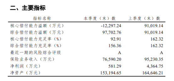 偿付能力