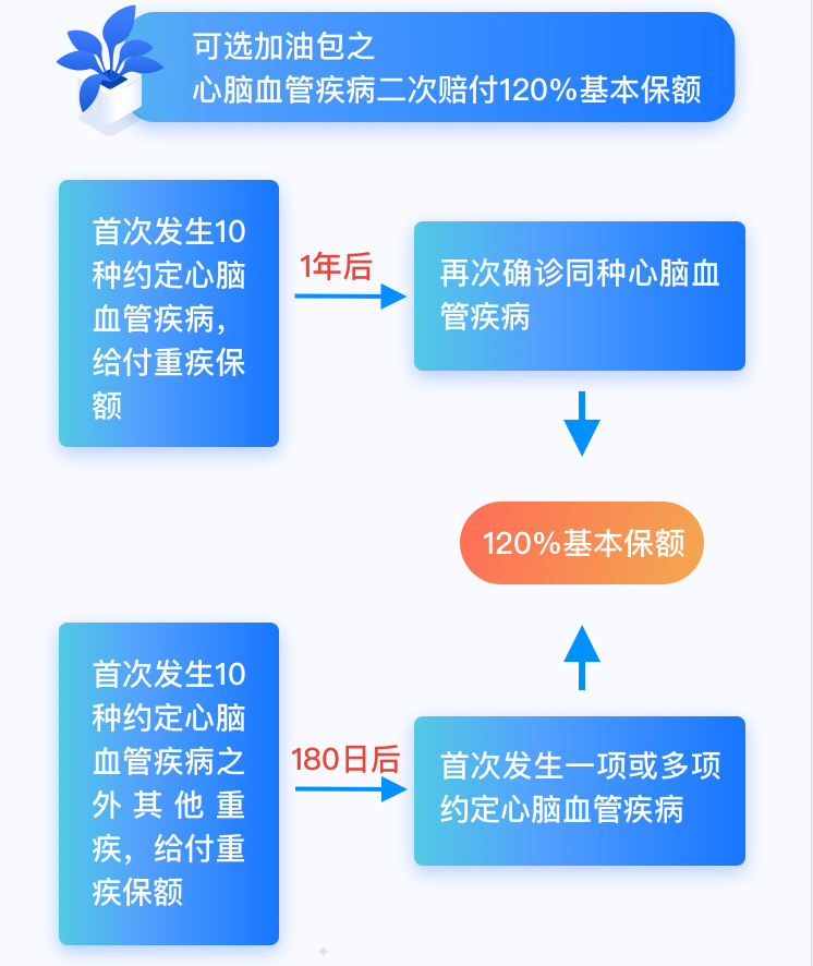 心脑血管保障 心脑血管保障