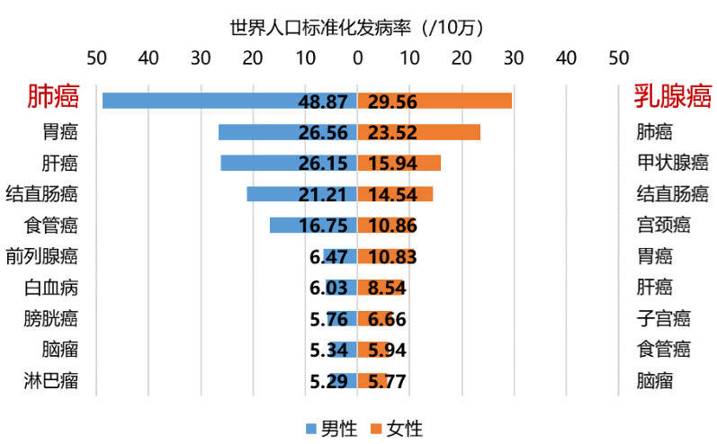 世界人口标准发病率