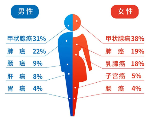 男性女性高发疾病