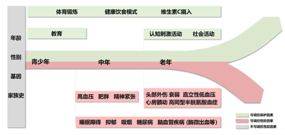 阿尔茨海默症发病原因