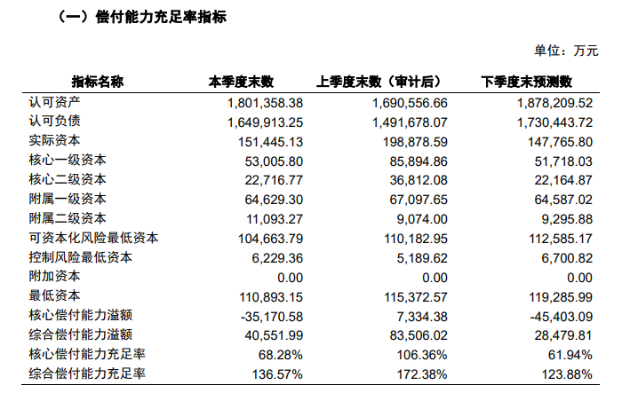 偿付能力