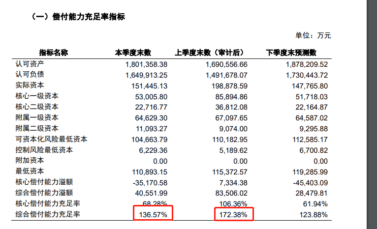 偿付能力